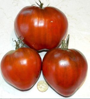 tomat-SHokoladnoe-serdtse